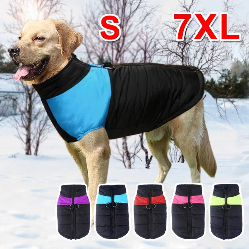 Veste Hiver Imperméable Animaux