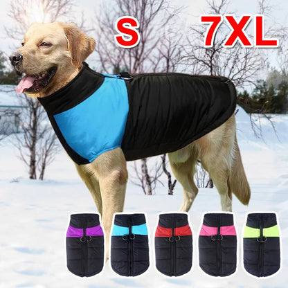 Veste Hiver Imperméable Animaux